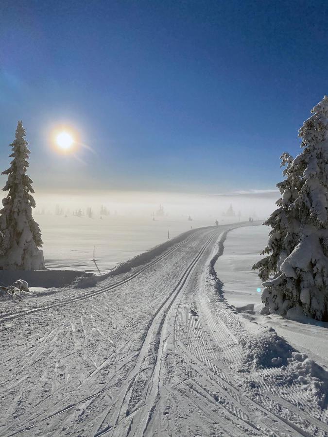 Lys Og Moderne Leilighet Rett Ved Skiloypa Pa Nordseter - Kort Vei Til Sjusjoen, Lillehammer Og Hafjell - Dyr Ikke Tillatt Εξωτερικό φωτογραφία