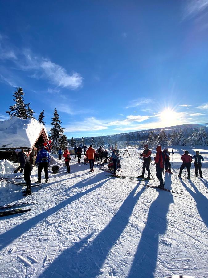 Lys Og Moderne Leilighet Rett Ved Skiloypa Pa Nordseter - Kort Vei Til Sjusjoen, Lillehammer Og Hafjell - Dyr Ikke Tillatt Εξωτερικό φωτογραφία