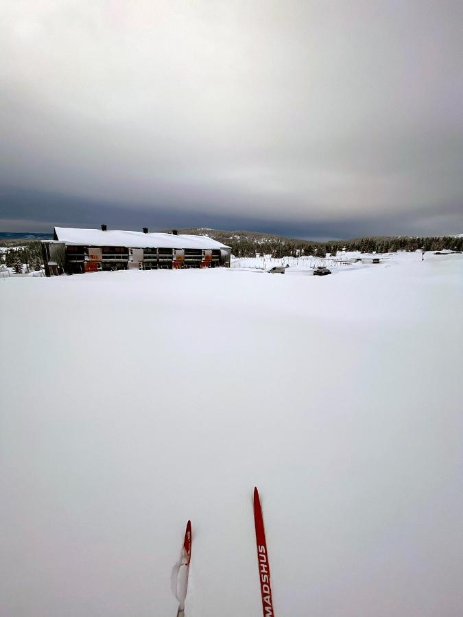 Lys Og Moderne Leilighet Rett Ved Skiloypa Pa Nordseter - Kort Vei Til Sjusjoen, Lillehammer Og Hafjell - Dyr Ikke Tillatt Εξωτερικό φωτογραφία