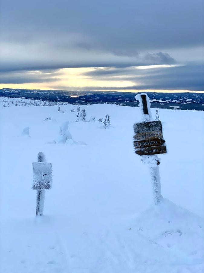 Lys Og Moderne Leilighet Rett Ved Skiloypa Pa Nordseter - Kort Vei Til Sjusjoen, Lillehammer Og Hafjell - Dyr Ikke Tillatt Εξωτερικό φωτογραφία