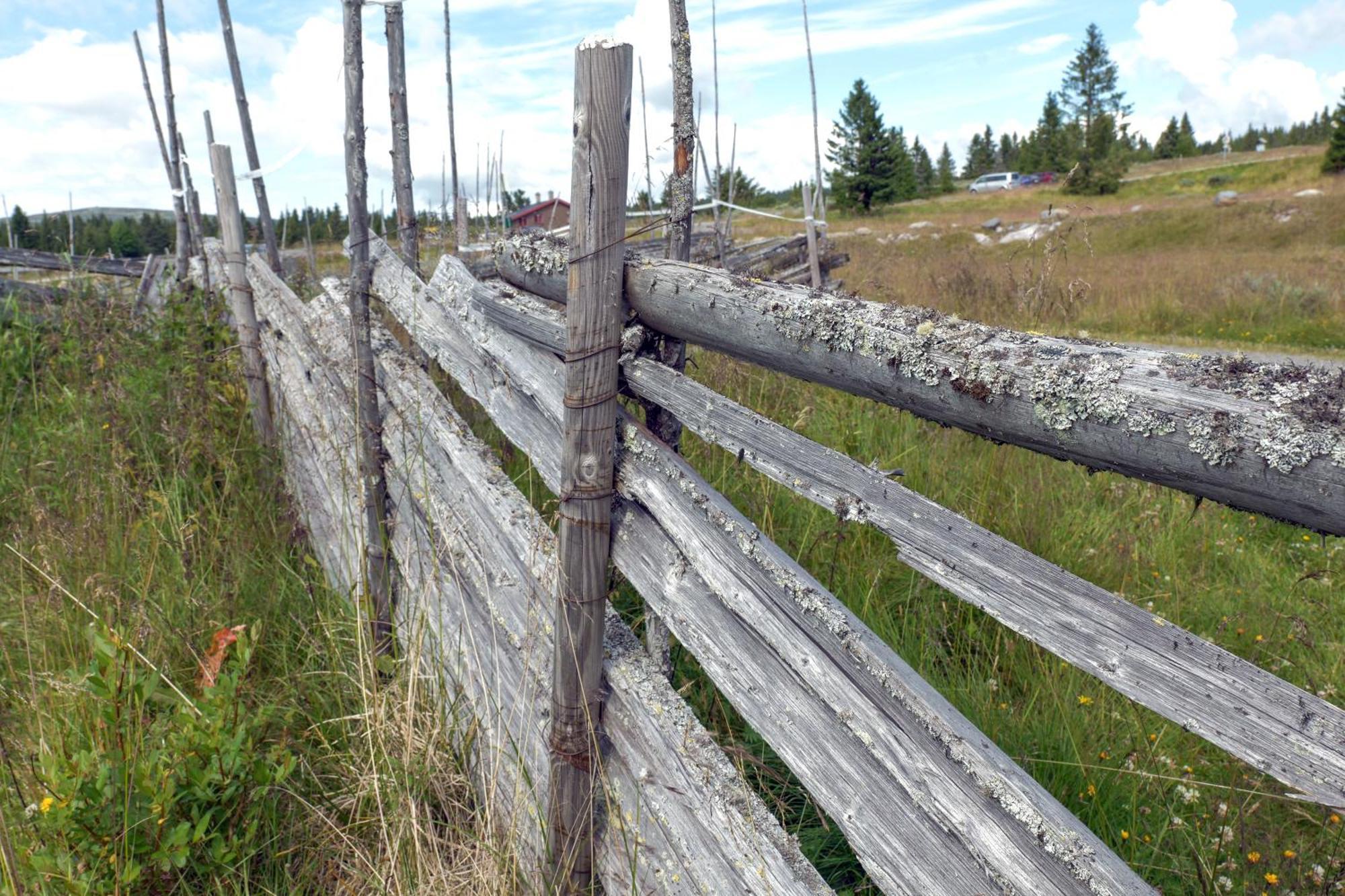 Lys Og Moderne Leilighet Rett Ved Skiloypa Pa Nordseter - Kort Vei Til Sjusjoen, Lillehammer Og Hafjell - Dyr Ikke Tillatt Εξωτερικό φωτογραφία